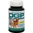 American Bio-sciences Dgp Chewable - 60 Chewable Tablets Online Hot Sale