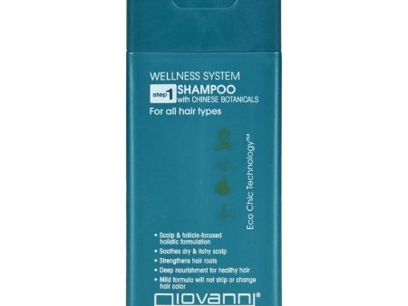 Giovanni Hair Care Products Shampoo - Wellness System - Travel Size - 2 Oz For Cheap