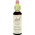 Bach Flower Remedies Essence Gorse - 0.7 Fl Oz Fashion