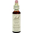 Bach Flower Remedies Essence Aspen - 0.7 Fl Oz Online now