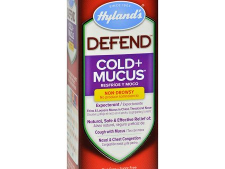 Hylands Homepathic Cold And Mucus - Defend - 4 Fl Oz on Sale