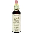 Bach Flower Remedies Essence Centaury - 0.7 Fl Oz Sale