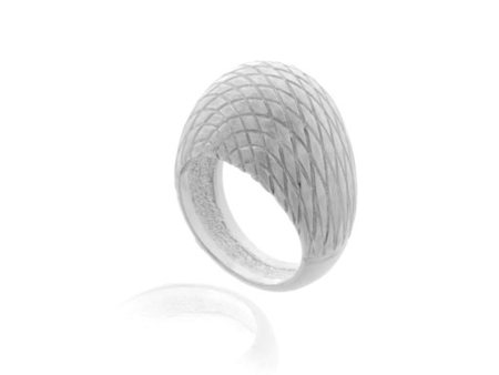 Snakeskin Silver Tone Ring on Sale