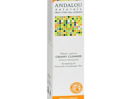 Andalou Naturals Creamy Cleanser For Combination Skin Meyer Lemon - 6 Fl Oz Online Hot Sale