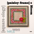 [square.ology] paisley.frame on Sale