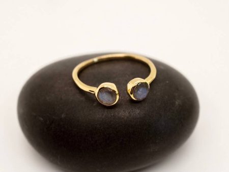 Brass Ring with Double Faceted Labradorite Stones Hot on Sale