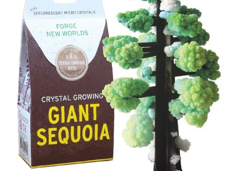 Crystal Growing Giant Sequoia Craft Kit Online now